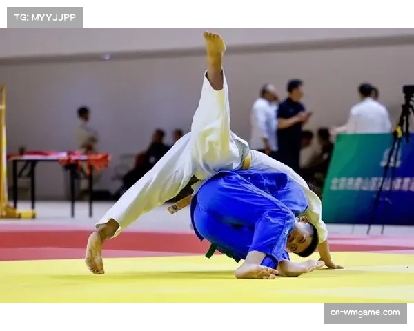 阿根廷柔道协会因财务审计问题被国际柔联暂时冻结会员资格